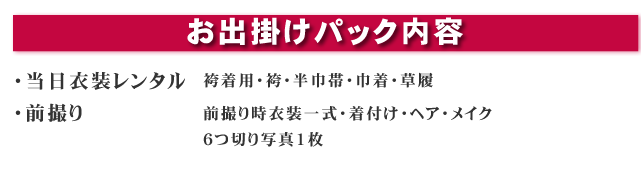 お出掛けパック内容